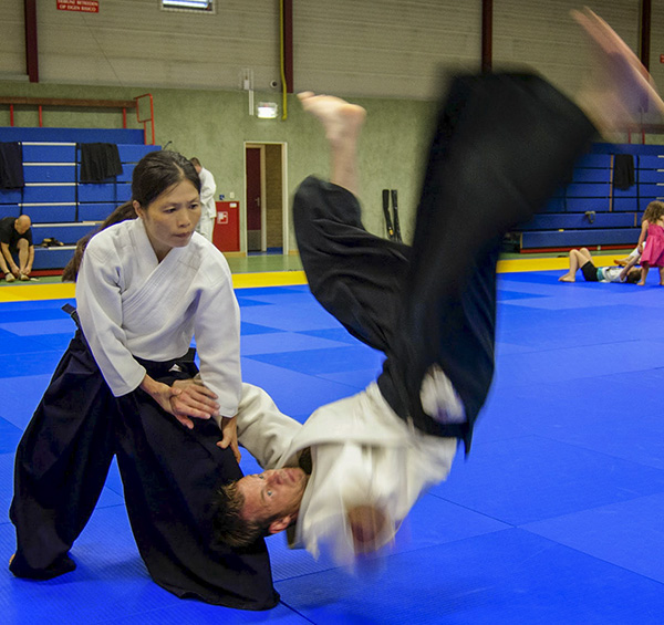 Stage – Aikido Winterschool 2012