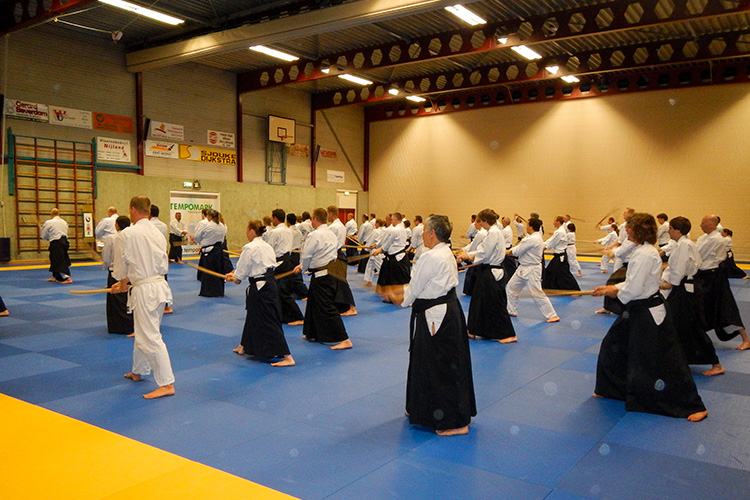 Stage – Aikido Zomerschool 2013