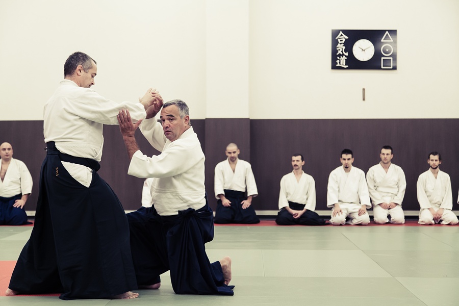 Gastles – Wilko Vriesman Sensei