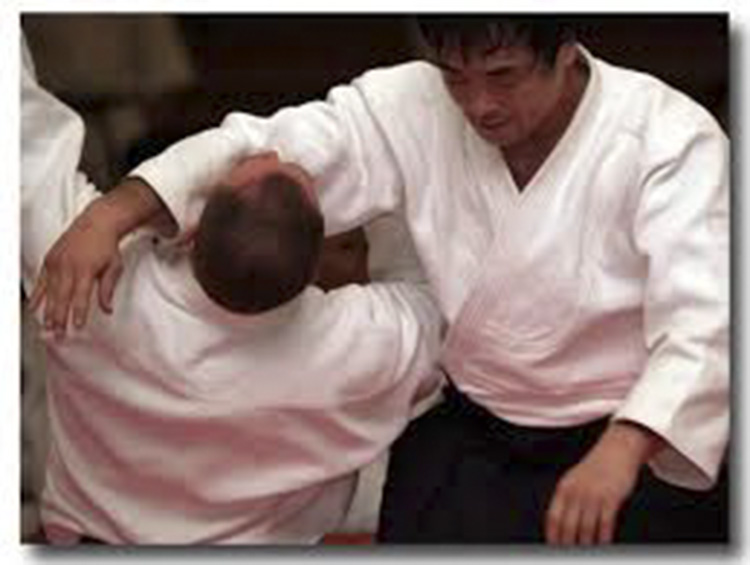 Stages Kobayashi Shihan februari 2015