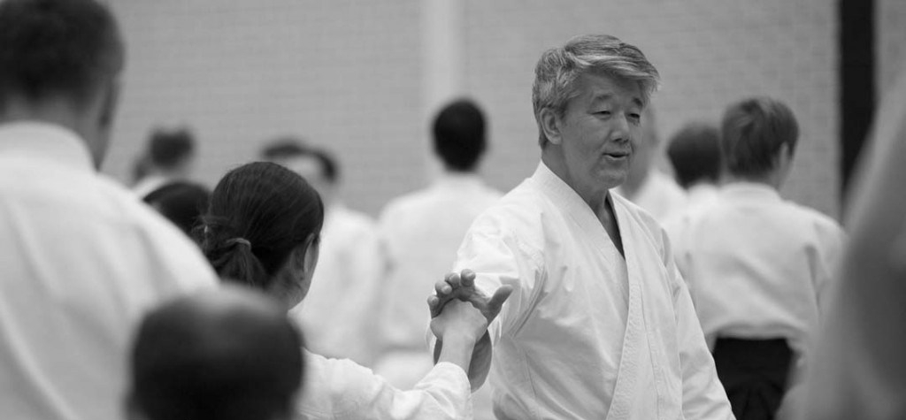 Aikido Bridge 2015