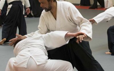 Aikido voor volwassenen bij Aikido Dronten